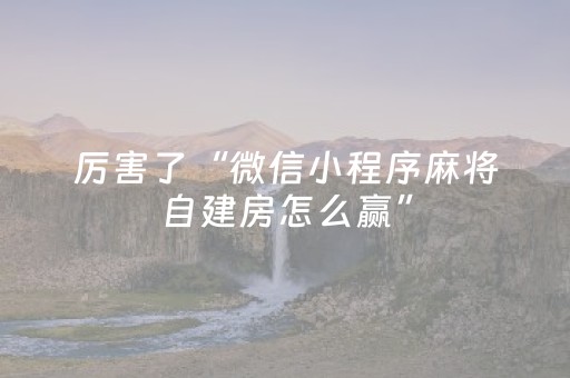 厉害了“微信小程序麻将自建房怎么赢”（做弊器软件下载)