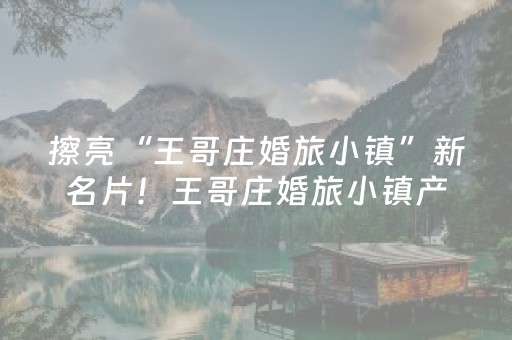 安装教程“手机跑得快怎么让系统给你发好牌”（助赢神器购买)