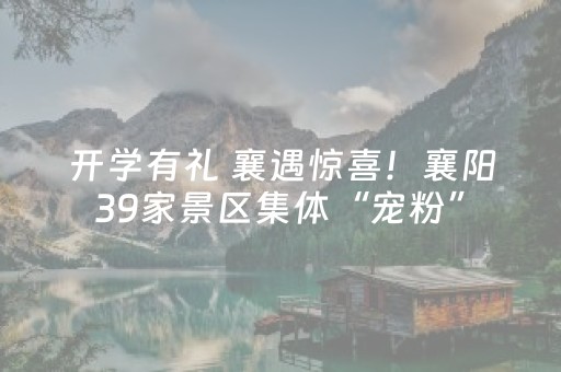 玩家必看“微信小程序陕西挖坑怎么提高胜率”（透明器教程)