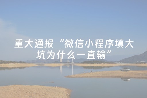 重大通报“微信小程序填大坑为什么一直输”（软件出售)