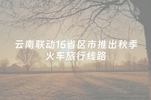 大神教教你“微信跑得快怎么让系统发好牌”（如何提高胜率)