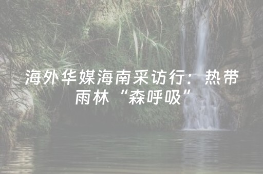 南安丰州古城开通“小白”
