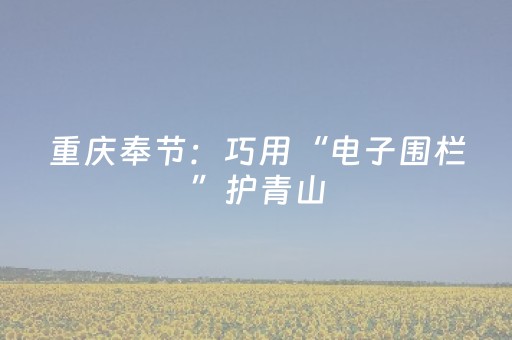 重庆奉节：巧用“电子围栏”护青山
