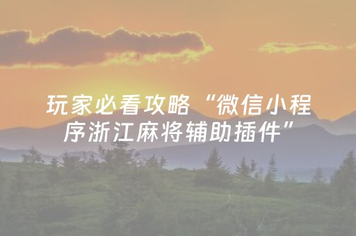 玩家必看攻略“微信小程序浙江麻将辅助插件”（辅牌器插件购买)