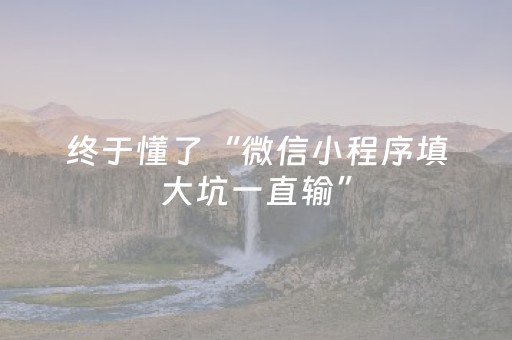 终于懂了“微信小程序填大坑一直输”（控牌器)