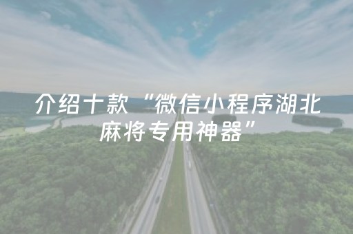介绍十款“微信小程序湖北麻将专用神器”（怎么提高胜率)