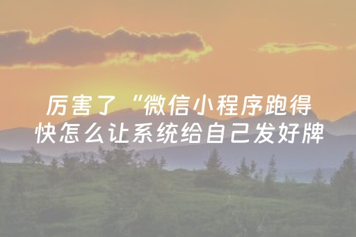 厉害了“微信小程序跑得快怎么让系统给自己发好牌”（通用挂软件多少钱)