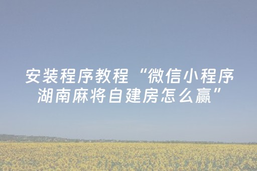 安装程序教程“微信小程序湖南麻将自建房怎么赢”（怎么让系统给你发好牌)