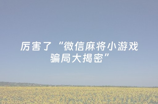 厉害了“微信麻将小游戏骗局大揭密”（开挂神器下载)