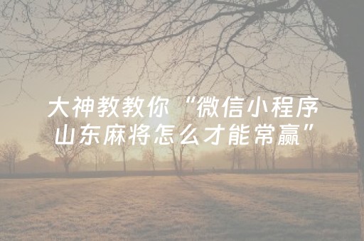 大神教教你“微信小程序山东麻将怎么才能常赢”（专用神器下载)