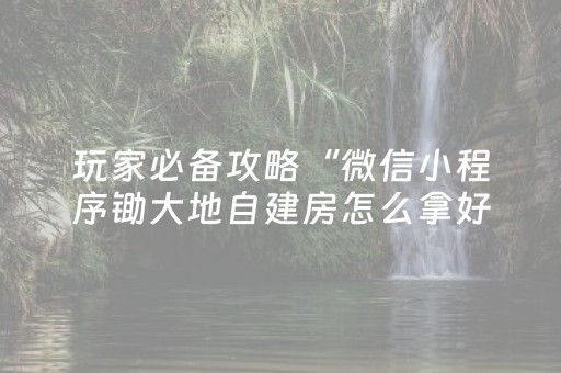 玩家必备攻略“微信小程序锄大地自建房怎么拿好牌”（怎么设置才能赢)