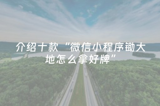 介绍十款“微信小程序锄大地怎么拿好牌”（AI辅助胡牌规则)