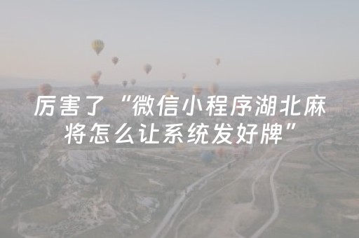 厉害了“微信小程序湖北麻将怎么让系统发好牌”（软件出售)