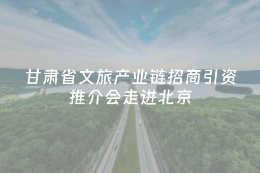 甘肃省文旅产业链招商引资推介会走进北京