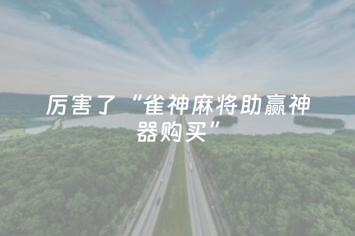 厉害了“雀神麻将助赢神器购买”（控牌神器)