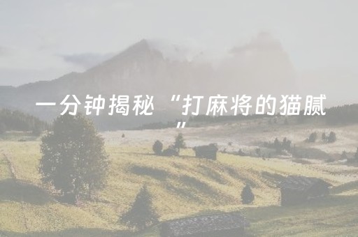 一分钟揭秘“打麻将的猫腻”（如何让系统发好牌)