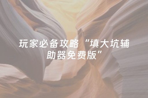 玩家必备攻略“填大坑辅助器免费版”（必赢神器免费安装)