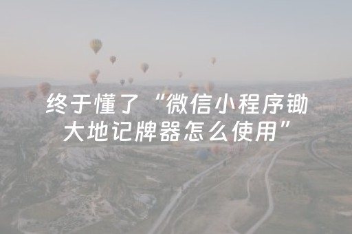 终于懂了“微信小程序锄大地记牌器怎么使用”（有什么规律)