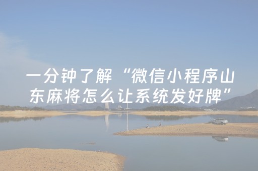 关于“微信小程序锄大地记牌器怎么使用”（软挂神器)