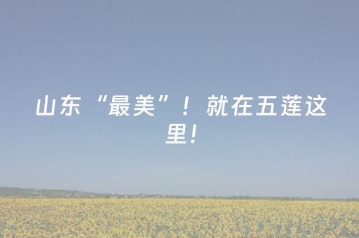 玩家必备攻略“微信小程序三代必赢神器”（必赢神器)
