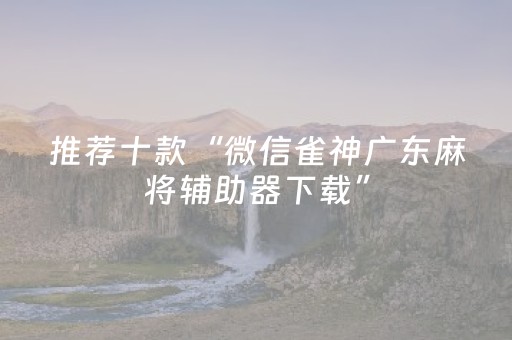 推荐十款“微信雀神广东麻将辅助器下载”（外辅工具)