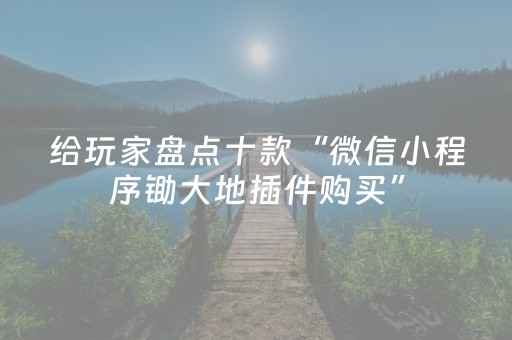 给玩家盘点十款“微信小程序锄大地插件购买”（如何提高胜率)