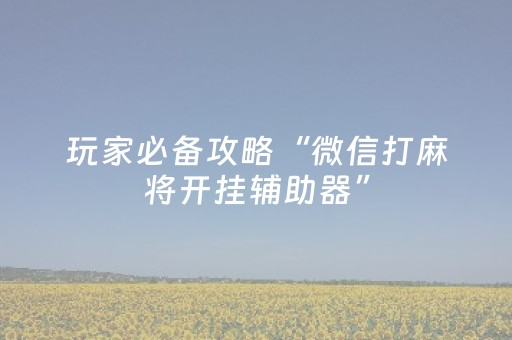 玩家必备攻略“微信打麻将开挂辅助器”（究竟是不是有挂)
