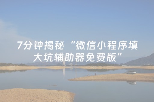 7分钟揭秘“微信小程序填大坑辅助器免费版”（控牌神器)