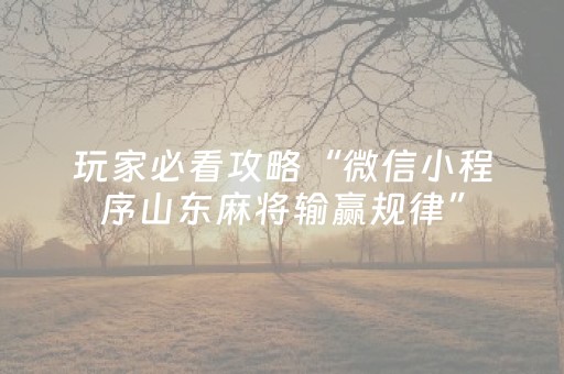 玩家必看攻略“微信小程序山东麻将输赢规律”（控牌神器)