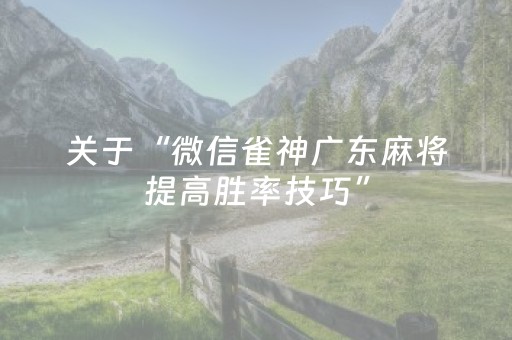 关于“微信雀神广东麻将提高胜率技巧”（开挂辅助器插件)