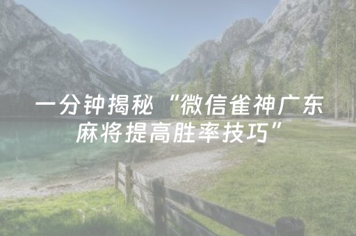一分钟揭秘“微信雀神广东麻将提高胜率技巧”（怎么让系统给自己好牌)