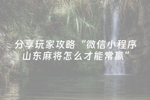 分享玩家攻略“微信小程序山东麻将怎么才能常赢”（外辅工具)