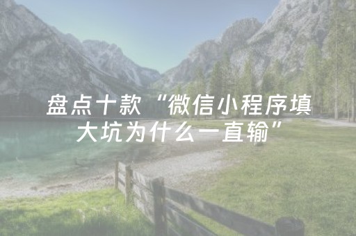 盘点十款“微信小程序填大坑为什么一直输”（万能开挂神器)