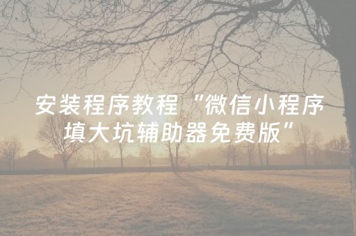 安装程序教程“微信小程序填大坑辅助器免费版”（怎么让系统给你发好牌)