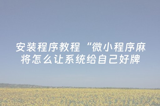 安装程序教程“微小程序麻将怎么让系统给自己好牌”（辅助器通用版)