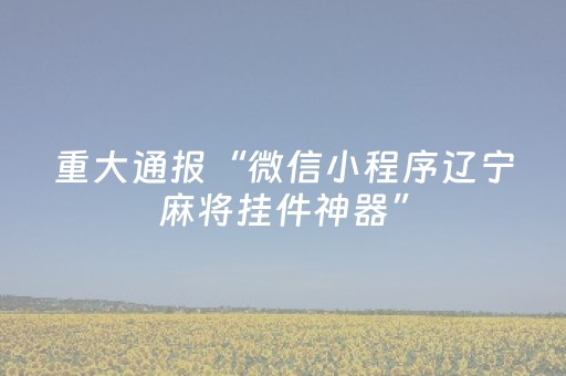 重大通报“微信小程序辽宁麻将挂件神器”（插件可信吗)
