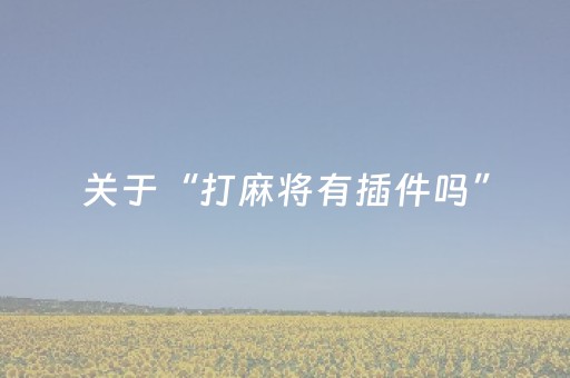 关于“打麻将有插件吗”（辅助器下载)