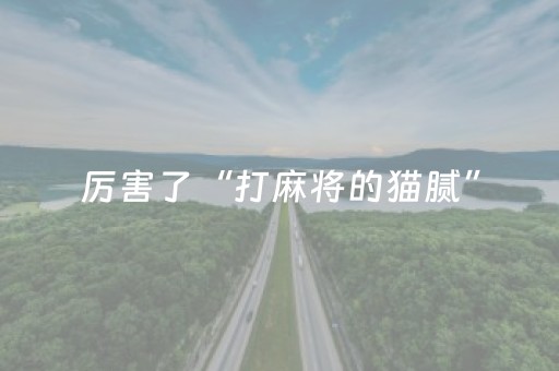厉害了“打麻将的猫腻”（必赢神器免费安装)