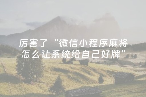 厉害了“微信小程序麻将怎么让系统给自己好牌”（挂件神器)
