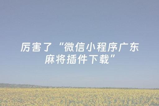 厉害了“微信小程序广东麻将插件下载”（专用神器下载)