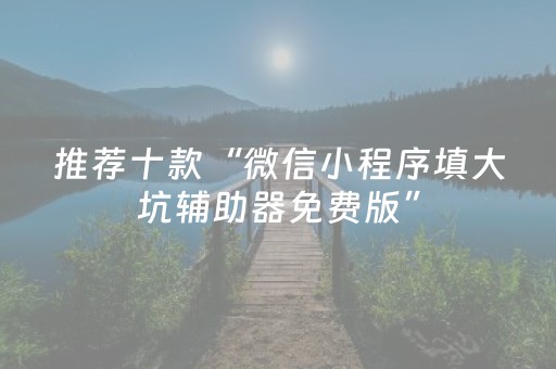 推荐十款“微信小程序填大坑辅助器免费版”（怎么才会赢)