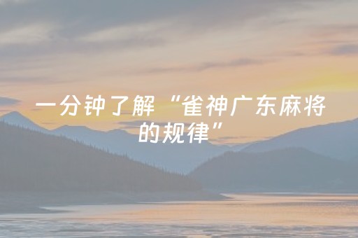 一分钟了解“雀神广东麻将的规律”（怎么能得到好牌)