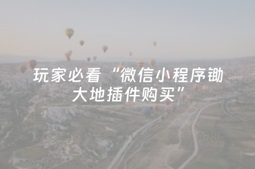 玩家必看“微信小程序锄大地插件购买”（辅助器通用版)