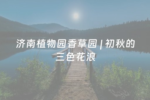 黑料“微信小程序安徽麻将能作假吗”（必赢神器辅助器)