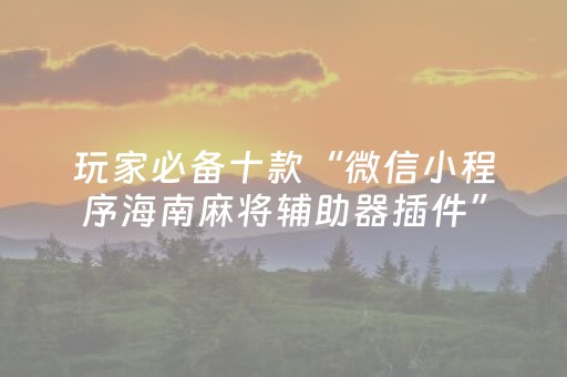 玩家必备十款“微信小程序海南麻将辅助器插件”（确实有插件吗)