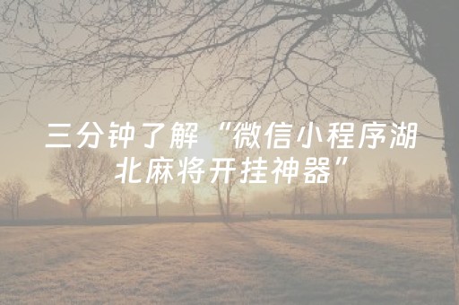 三分钟了解“微信小程序湖北麻将开挂神器”（怎么设置才能赢)