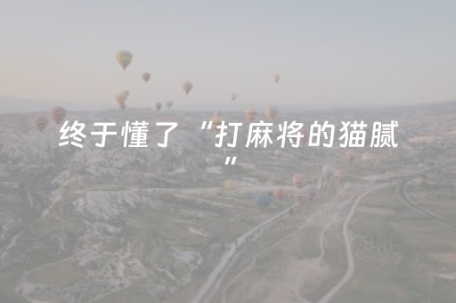 终于懂了“打麻将的猫腻”（怎么能让牌好一点)