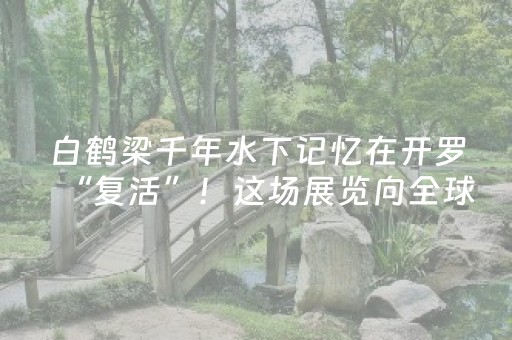 2分钟秒懂“微信小程序陕西挖坑怎么提高胜率”（开挂辅助器插件)