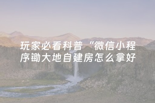 玩家必看科普“微信小程序锄大地自建房怎么拿好牌”（攻略插件)