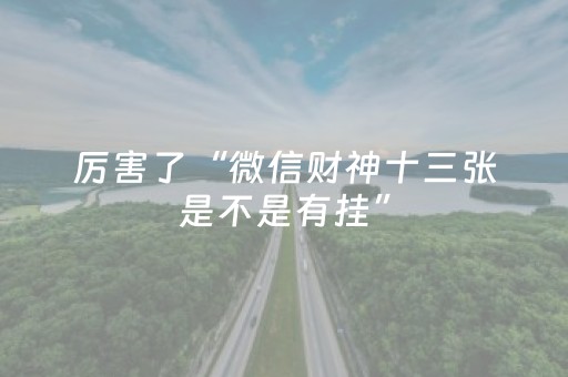 厉害了“微信财神十三张是不是有挂”（软挂神器)